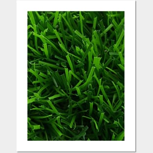 Fake Grass Posters and Art